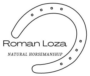 Hevospalvelut Porin Noormarkusta Roman Lozalta